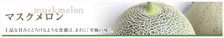 マスクメロン